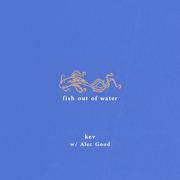 Fish Out of Water