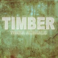 Timber - Pitbull Feat. Kesha (unofficial Instrumental 2)