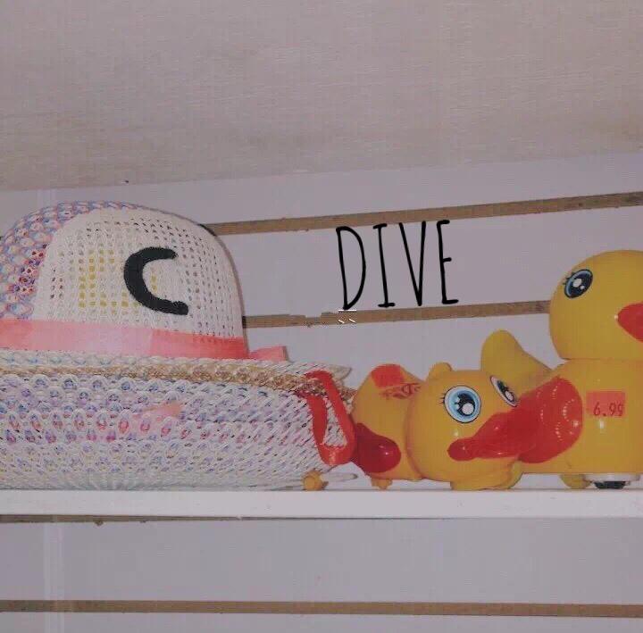 Dive专辑