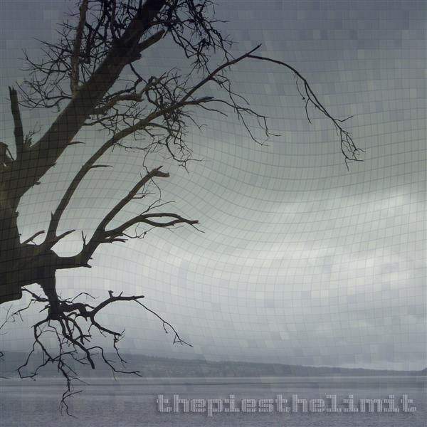 Thepiesthelimit