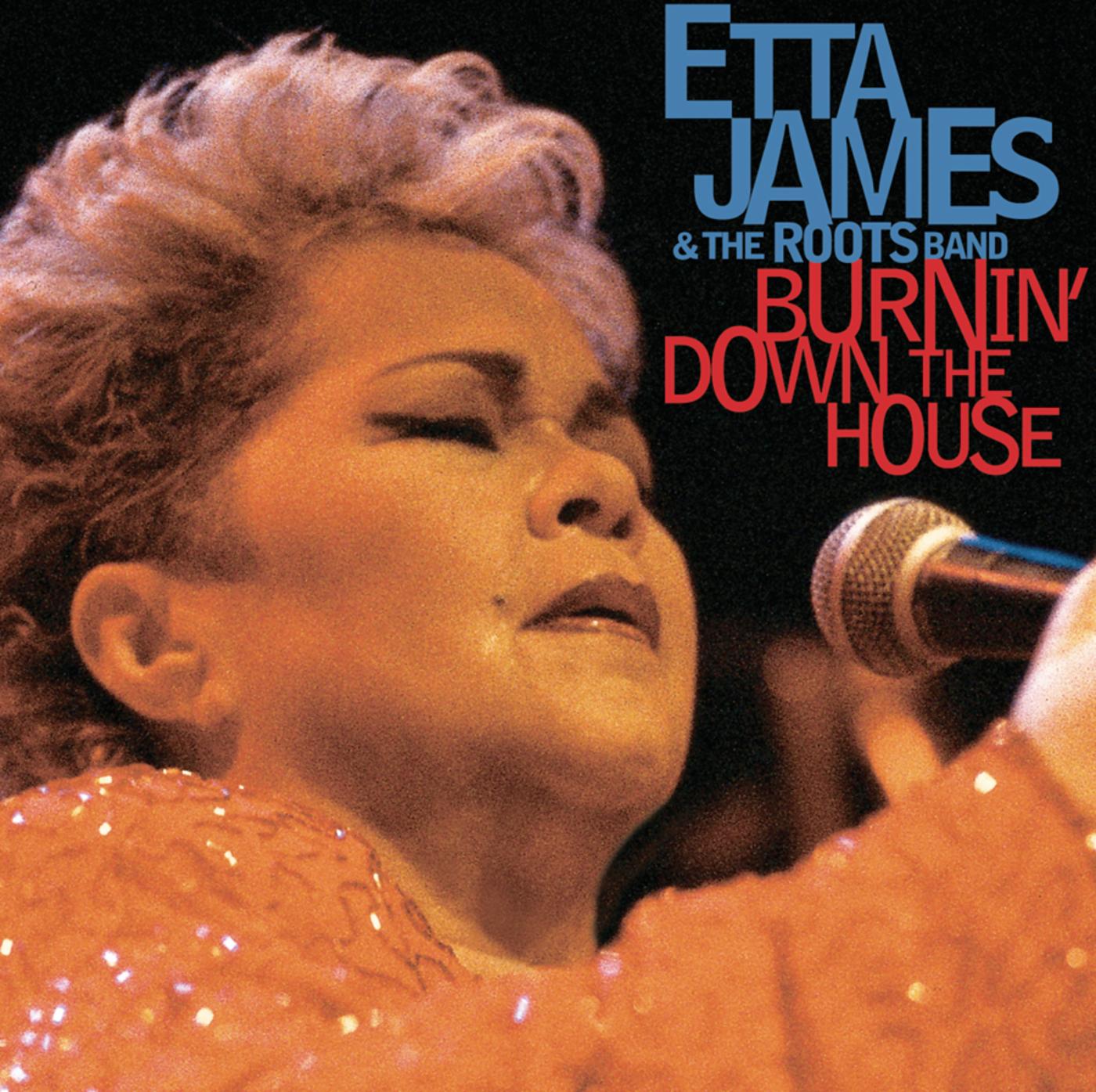Burnin' Down the House: Live at the House of ...