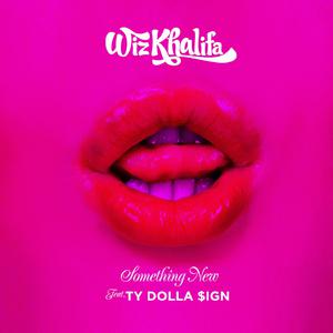 Something New - Wiz Khalifa &Ty Dolla $Ign (unofficial Instrumental) 无和声伴奏 （降5半音）