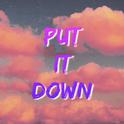 Put It Down专辑