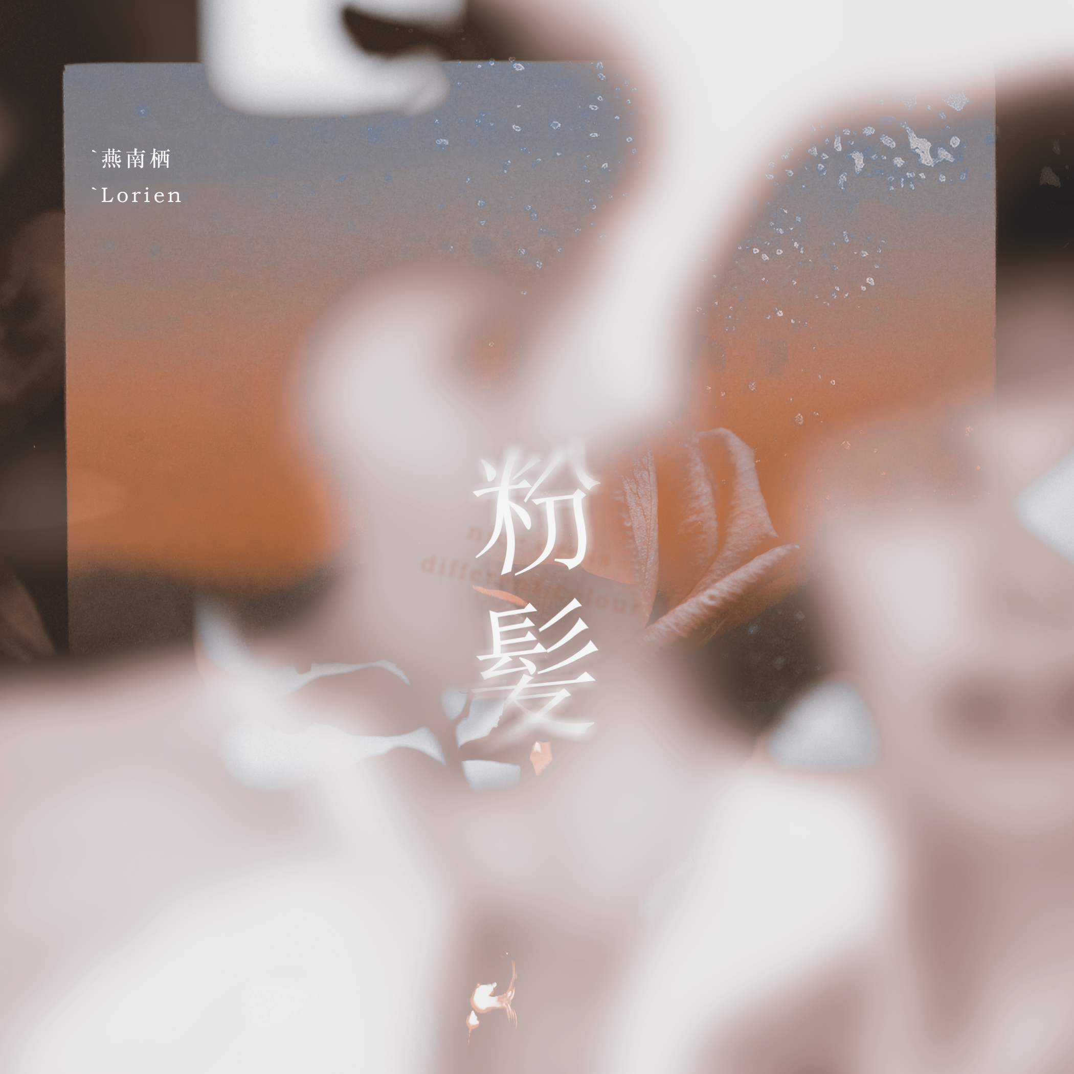 粉髪专辑