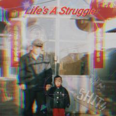 life is struggle