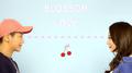 Cherry Blossom Love专辑
