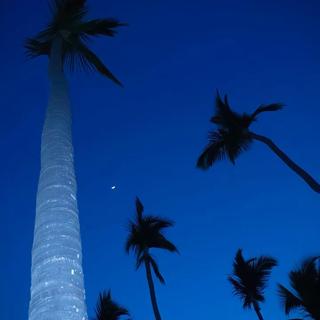 这是 属于我们的 蓝调时刻