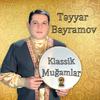 Təyyar Bayramov - Mirzə Hüseyn Segahı