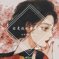 你就是天空的那朵云D调伴奏(对唱版)