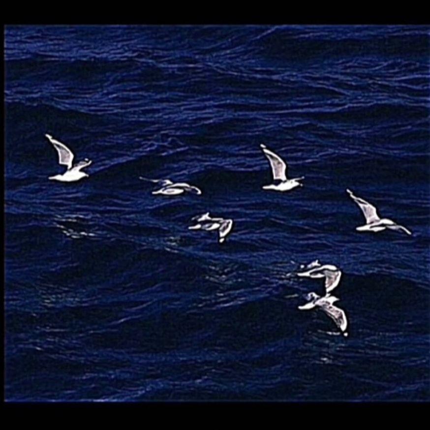 RangBaLa (壤巴拉)