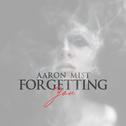 Forgetting You专辑