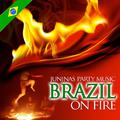 Juninas Party Music. Brazil on Fire
