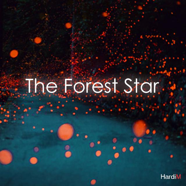 The Forest Star专辑