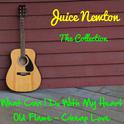 Juice Newton: The Collection专辑