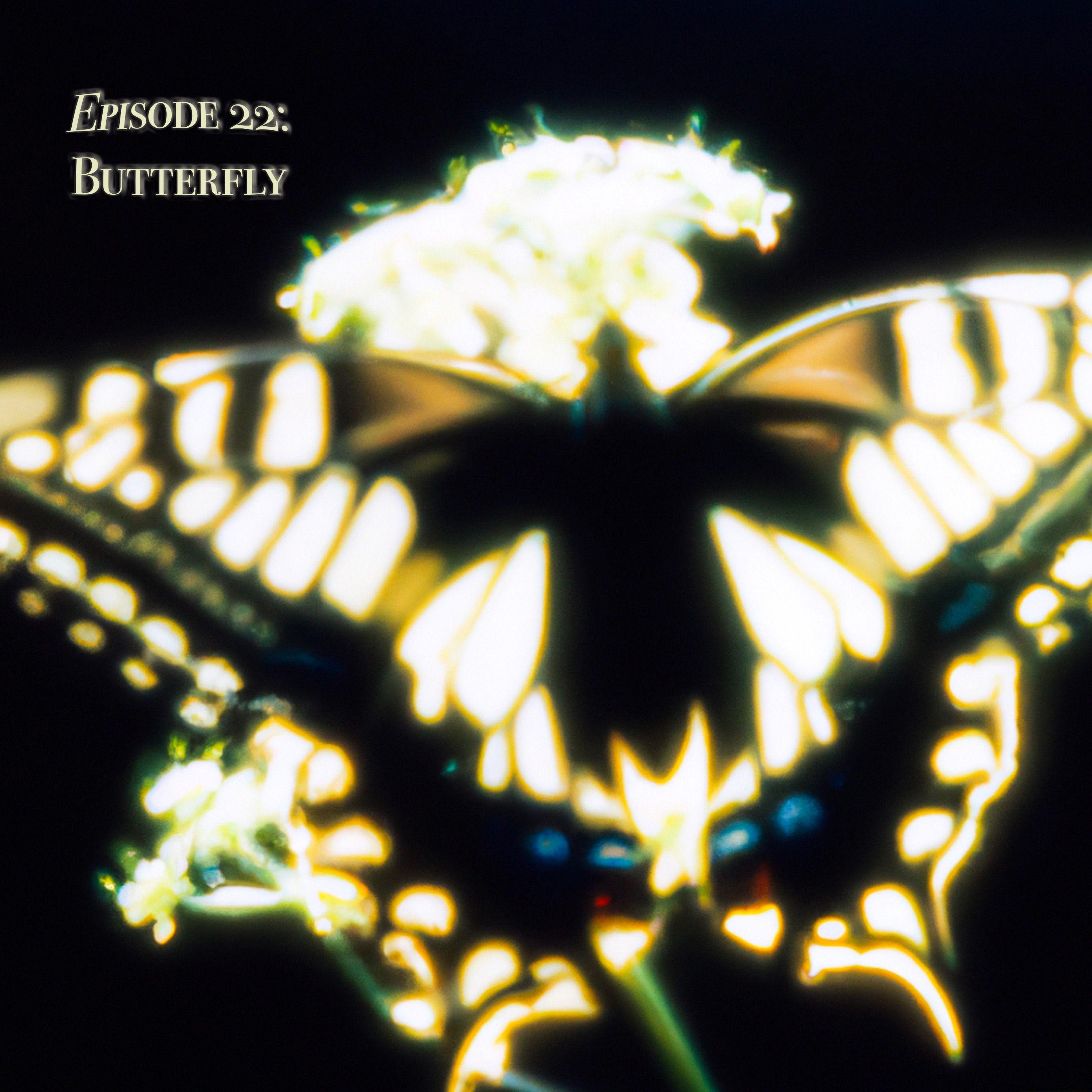 Episode 22: Butterfly