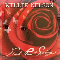 First Rose of Spring - Willie Nelson (Karaoke Version) 带和声伴奏