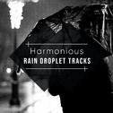 #19 Harmonious Rain Droplet Tracks专辑