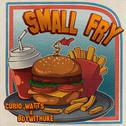 Small Fry专辑