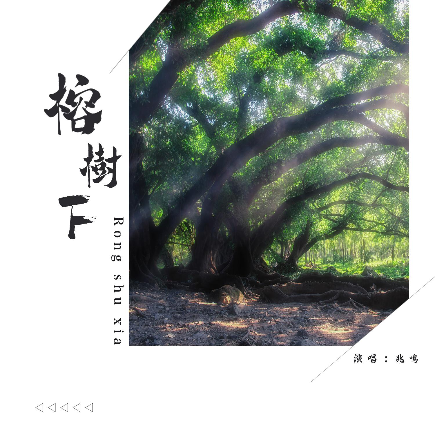 榕树下