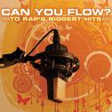 Can You Flow? to Rap's Biggest Hits Vol. 1专辑