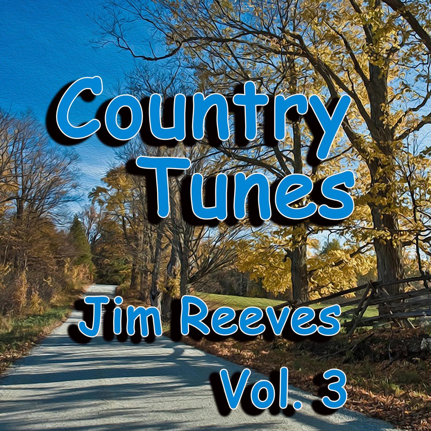 Country Tunes, Vol. 3