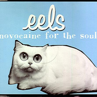 Novocaine For The Soul - Eels (unofficial Instrumental)