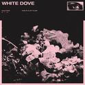 White Dove专辑