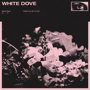 White Dove