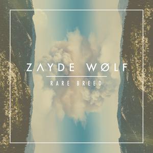 Zayde Wølf - King (消音版) 带和声伴奏