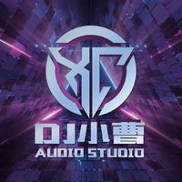 DJ小曹 - 我看过(DJ小曹 Remix)