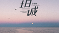 坦诚专辑
