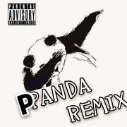 Stupid Boi （Panda Remix）