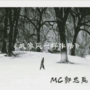 我像风一样作陪