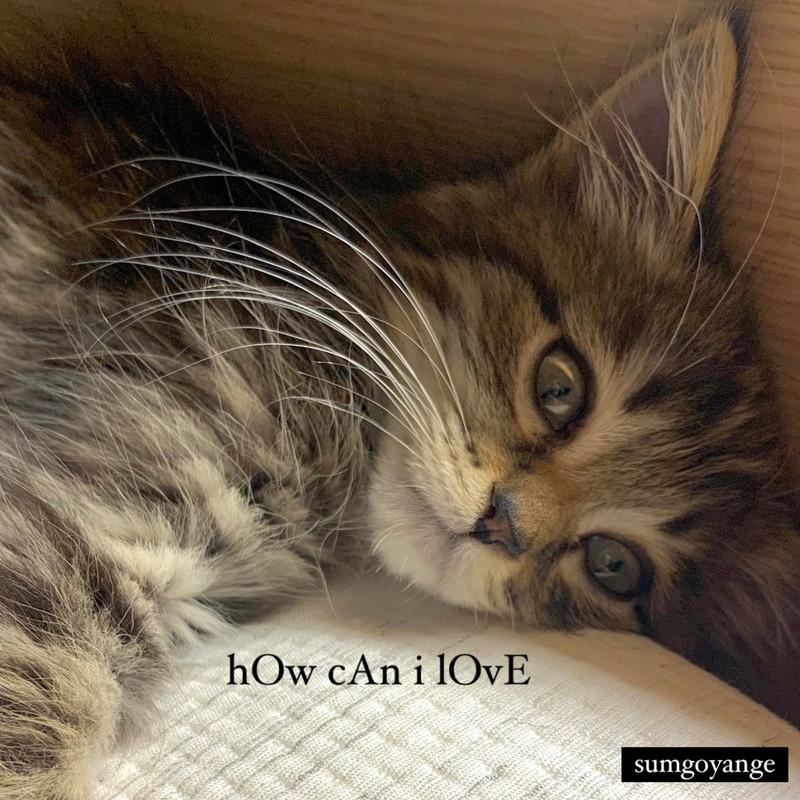 hOw cAn i lOvE