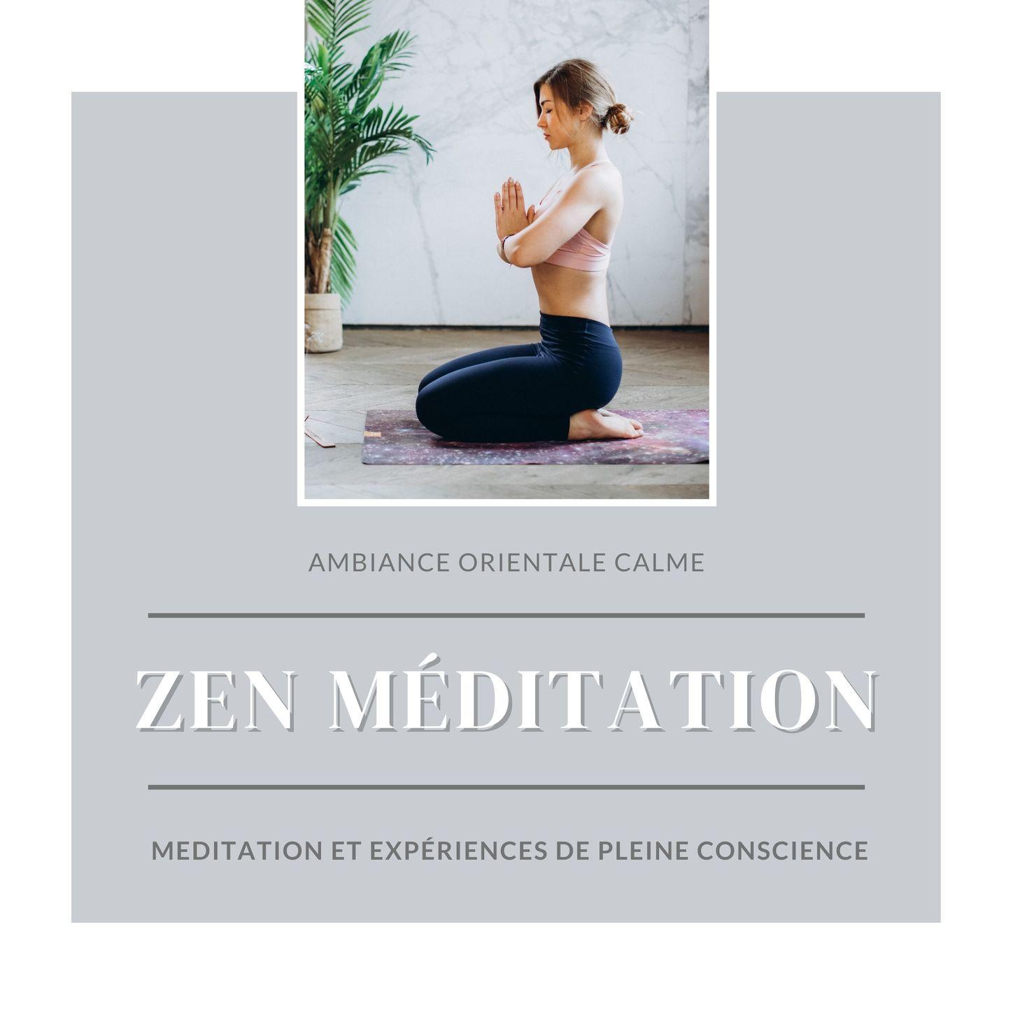 Zen méditation: Ambiance orientale calme pour la meditation et expériences de pleine conscience