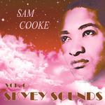 Skyey Sounds Vol. 6专辑