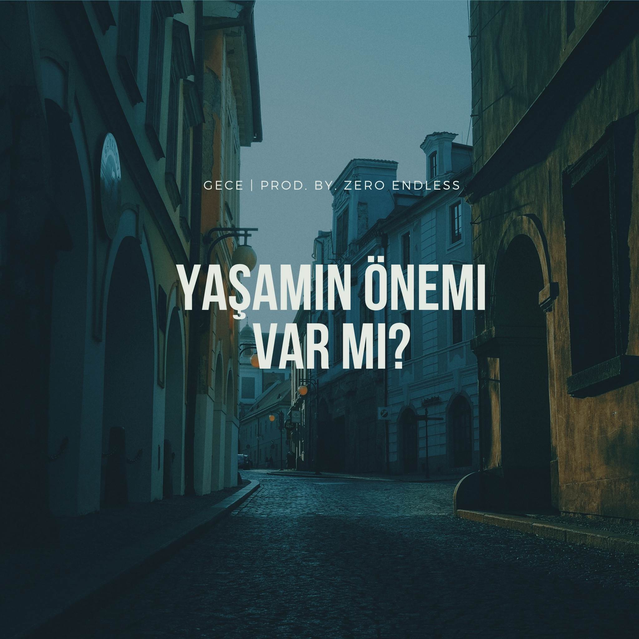Yaşamın Önemi Var mı?