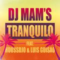 Tranquilo (feat. Houssdjo & Luis Guisao) [Radio Edit] - Single