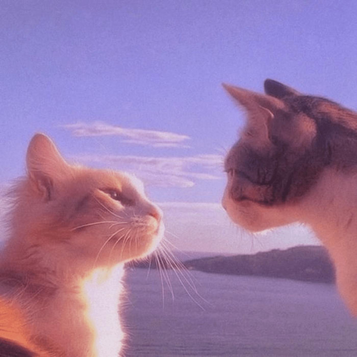 Another Day in Paradise