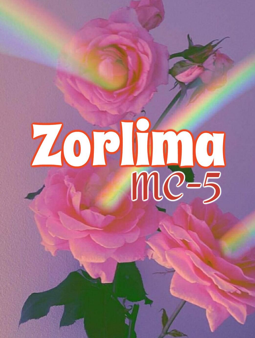 Zorlima专辑