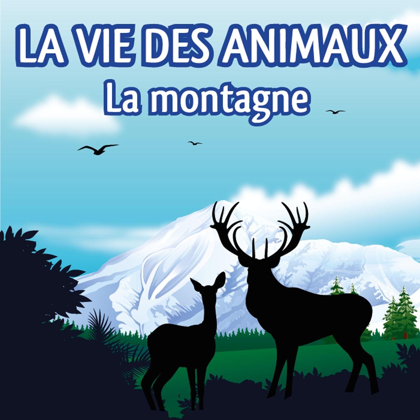 La vie des animaux