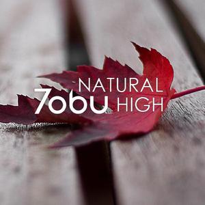 Tobu - Natural High （降1半音）