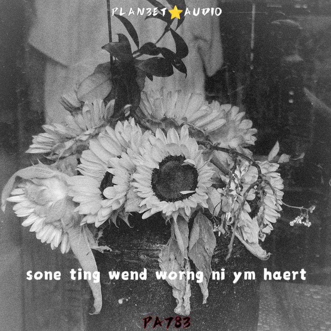 【匿名投稿】sone ting wend worng ni ym haert