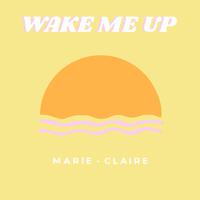 太阳-Wake Me Up  立体声伴奏