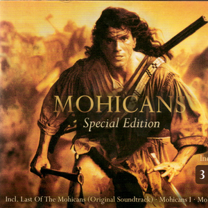 Main Title FromThe Last Of The Mohicans （升8半音）