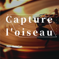 Capture loiseau