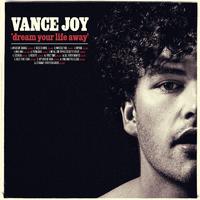 Vance Joy, - Fire And The Flood (karaoke Version)