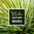 Calm Nature Melodies