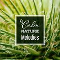 Calm Nature Melodies专辑