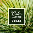 Calm Nature Melodies专辑